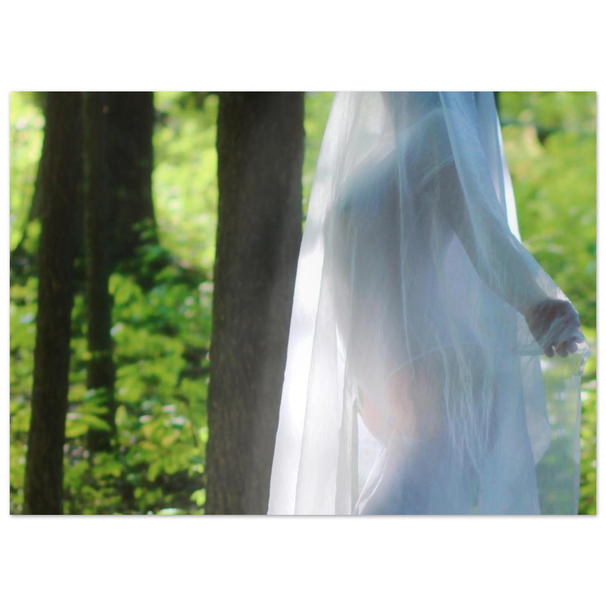 09f3e5c4-3c72-400f-8af8-3d14cf9d0e9d