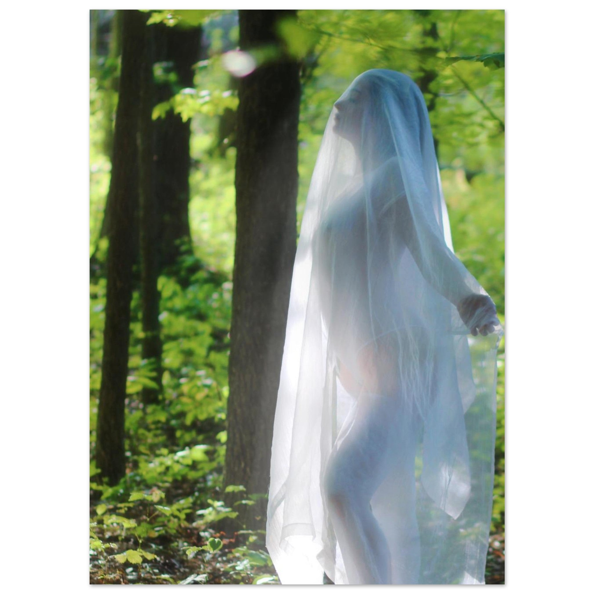 fd5ad052-168d-461f-9112-f963c57dd823