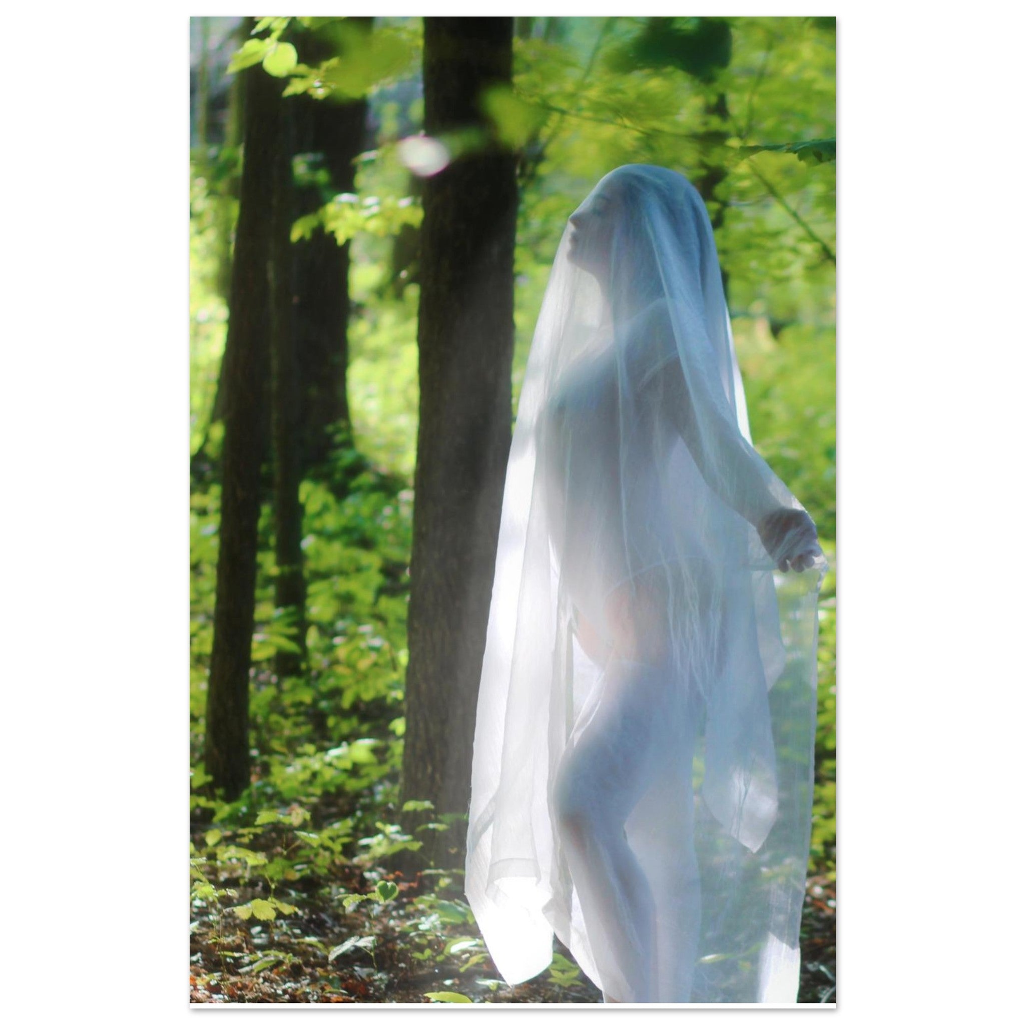 ff9231bb-e63e-434d-98f0-b982e9add046